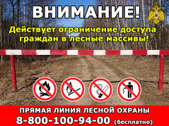 Ограничение на пребывание граждан на землях лесного фонда